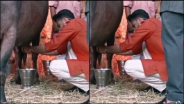 Laughter Chefs - Season 02 - 17th May 2025